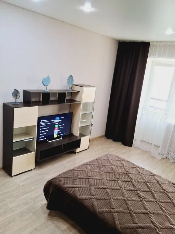 Просторная однокомнатная квартира