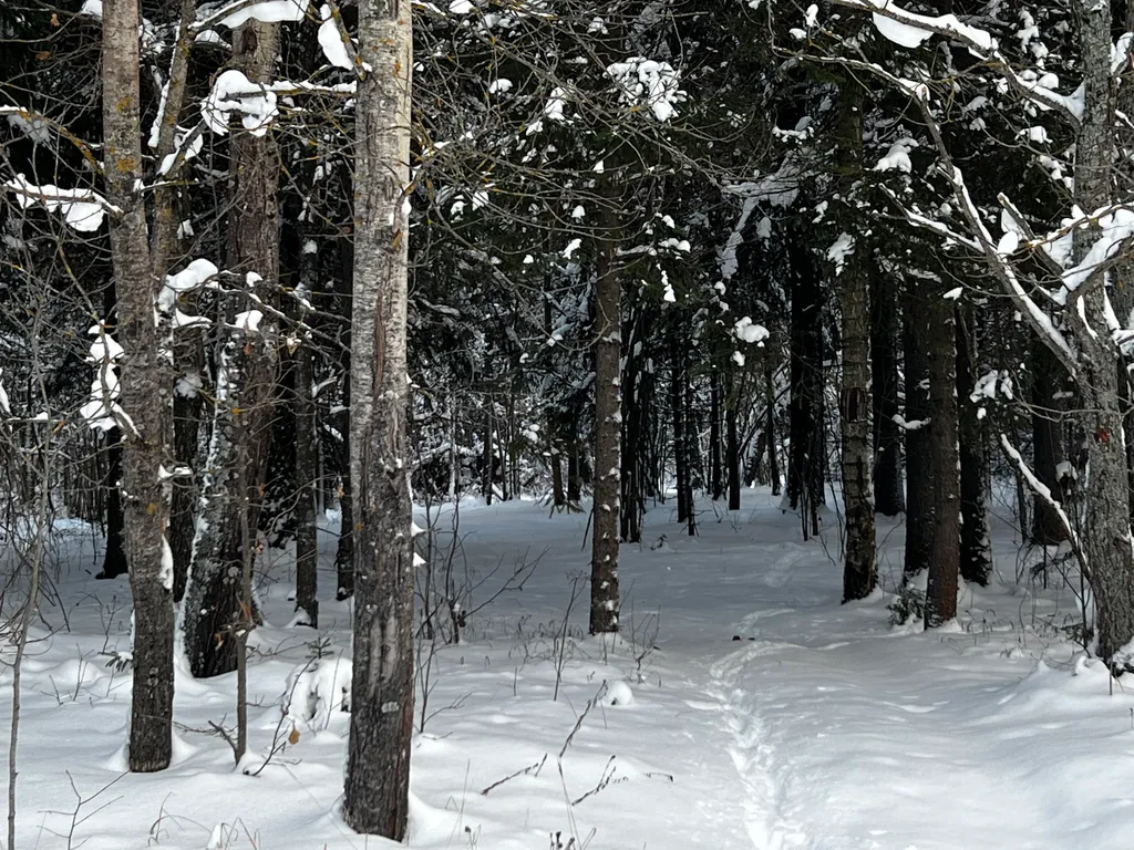 Коттедж с панорамными окнами Куско на Истринском водохранилище