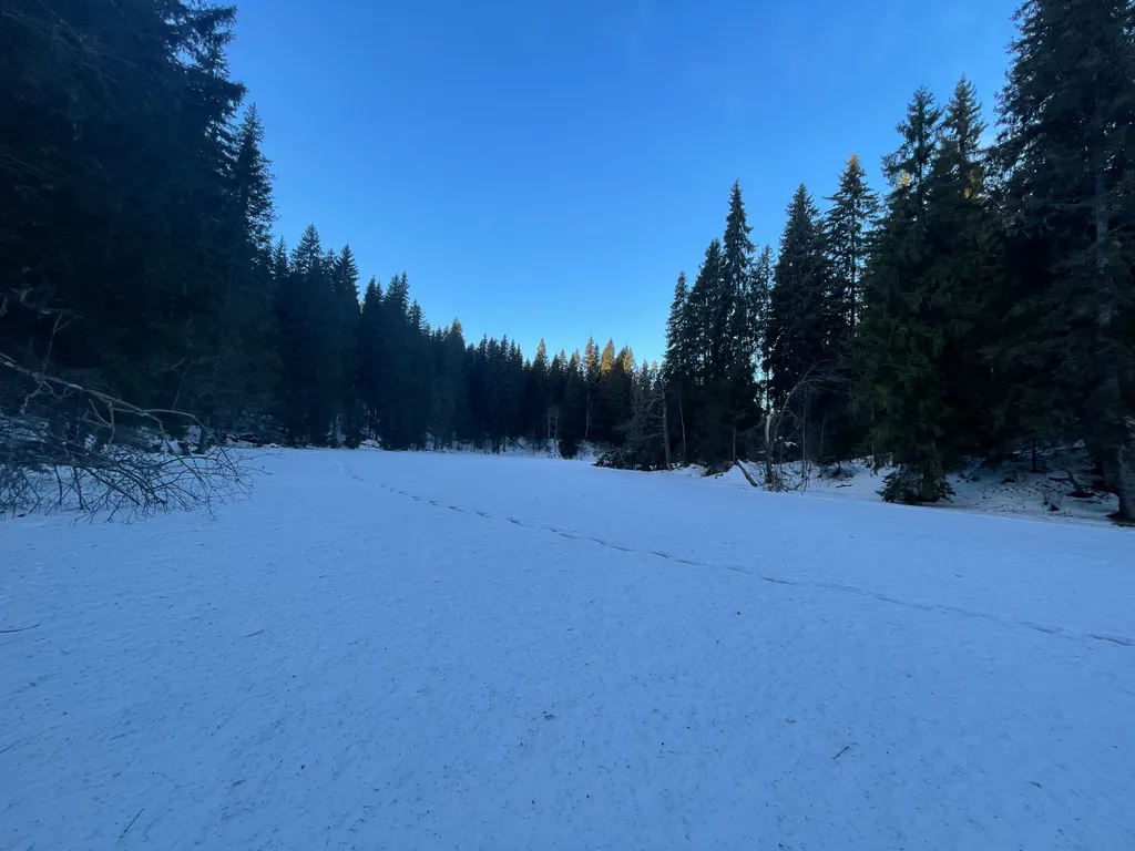 Домик для семейного отдыха в лесу