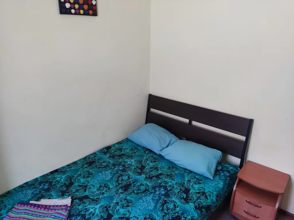 Квартира Двухместный номер №10 на втором этаже — аренда посуточно в Благовещенская