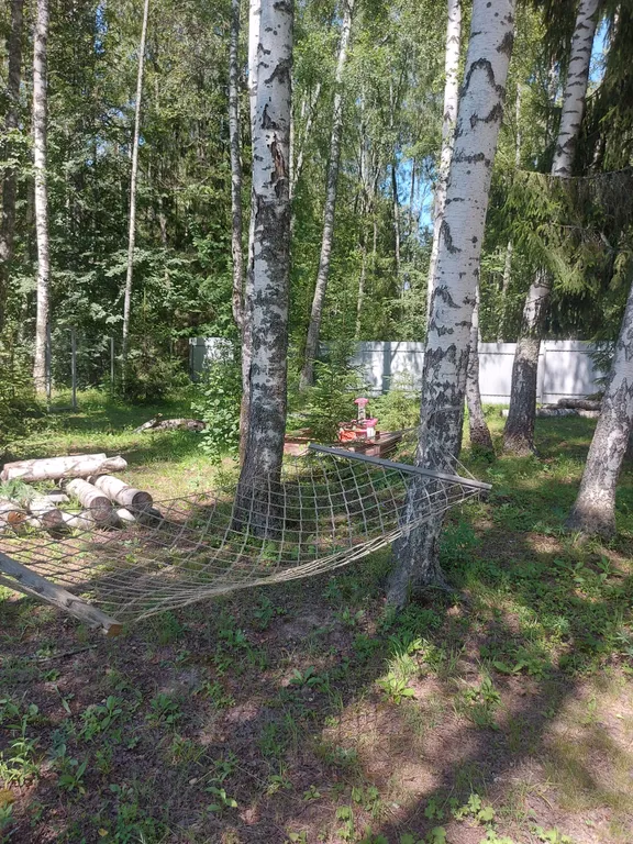 Дом в деревне