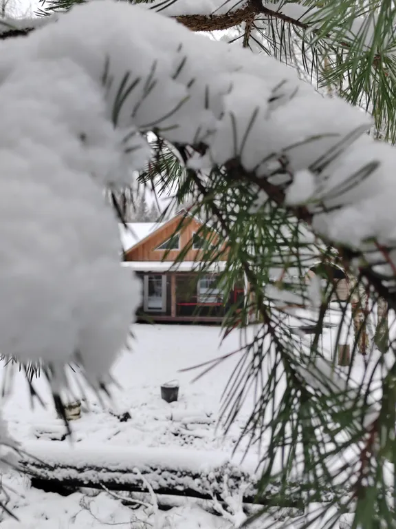 Архаичная Изба XIX века