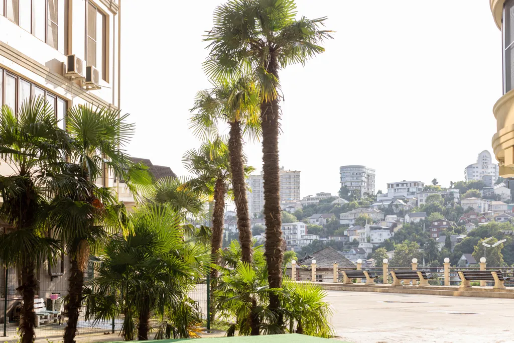 Квартира Мраморные апартаменты, окна на закат — Сочи