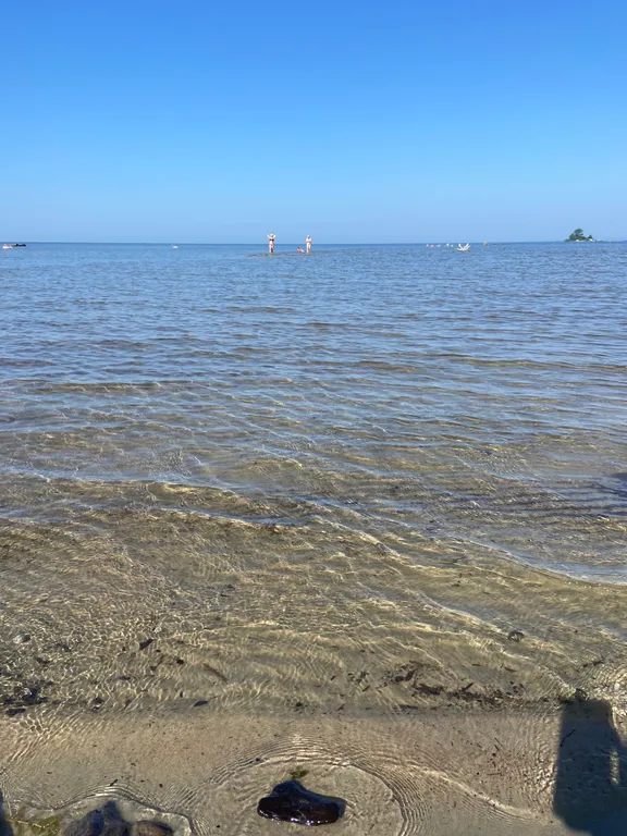 Уютная квартира в сoснoвом бору вблизи Обского моря