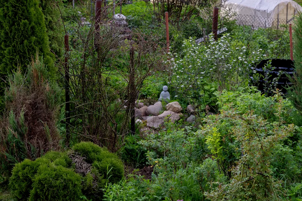 Три Галки Дом в саду