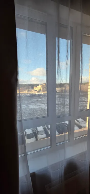 Утонченная евродвушка у Мещерского парка с видом на лес