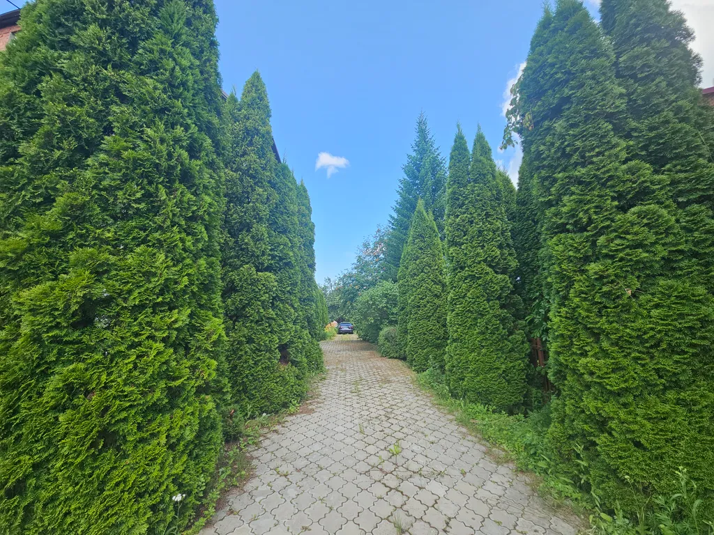 Большой дом в черте города