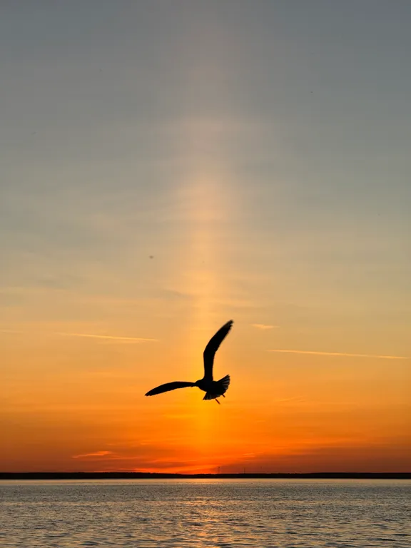 Почувствуй нашу любовь