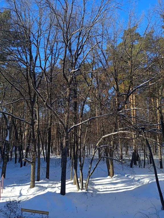 Апартаменты от Елены на Театральной