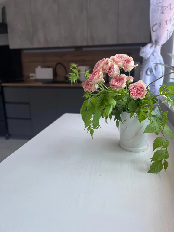 Уютная квартира недалёко от моря