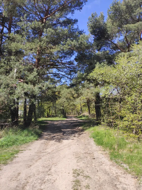 Аппартаменты Причал мечты на берегу Балтики