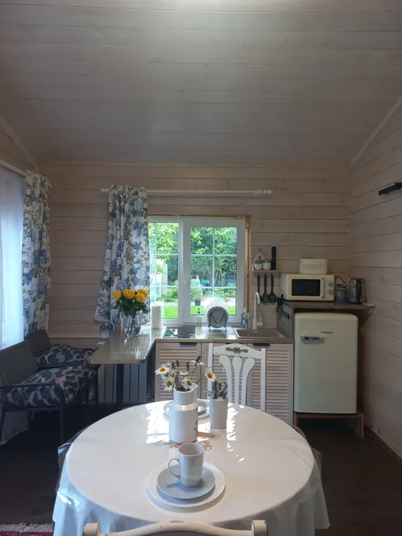 Коттедж Синий домик с банькой — Санкт-Петербург