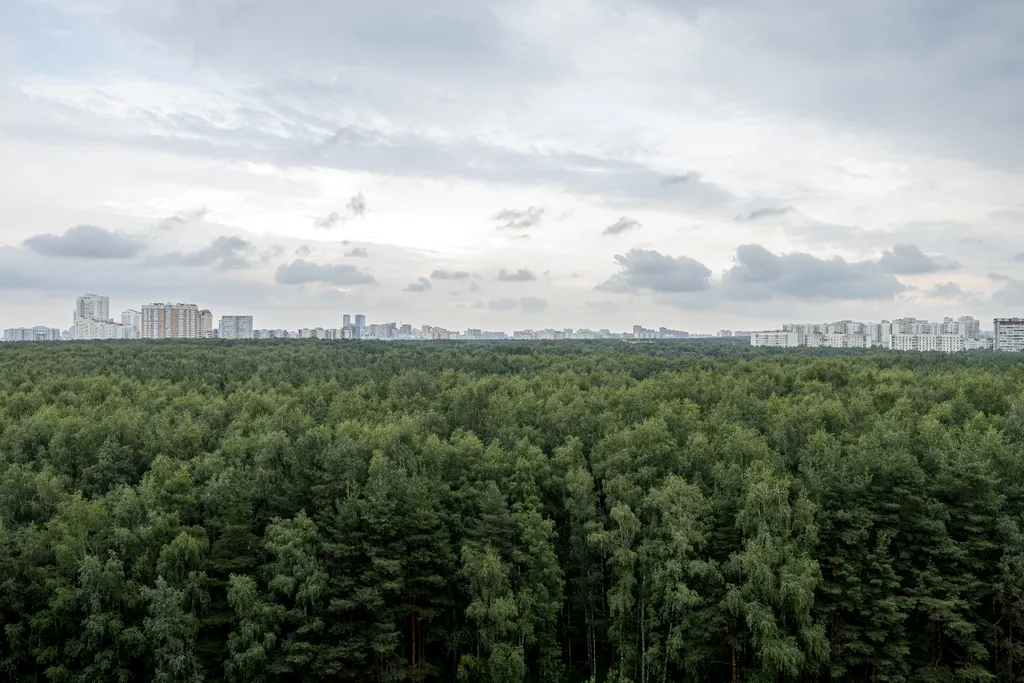 Современная квартира рядом с метро Румянцево