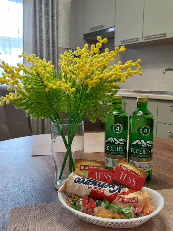 Частный дом в центре