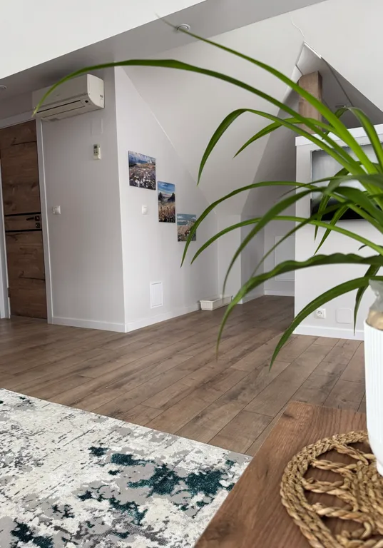 Большой семейный номер (люкс).