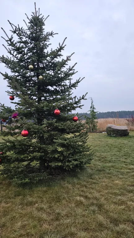 Агроусадьба Лесная Паулинка