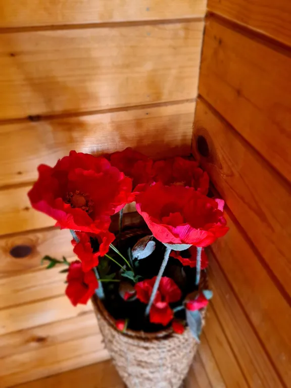 Уютный дом в рядом с лесом