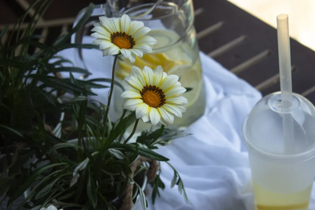 Уютная квартира-студия рядом с морем Аллея Парк