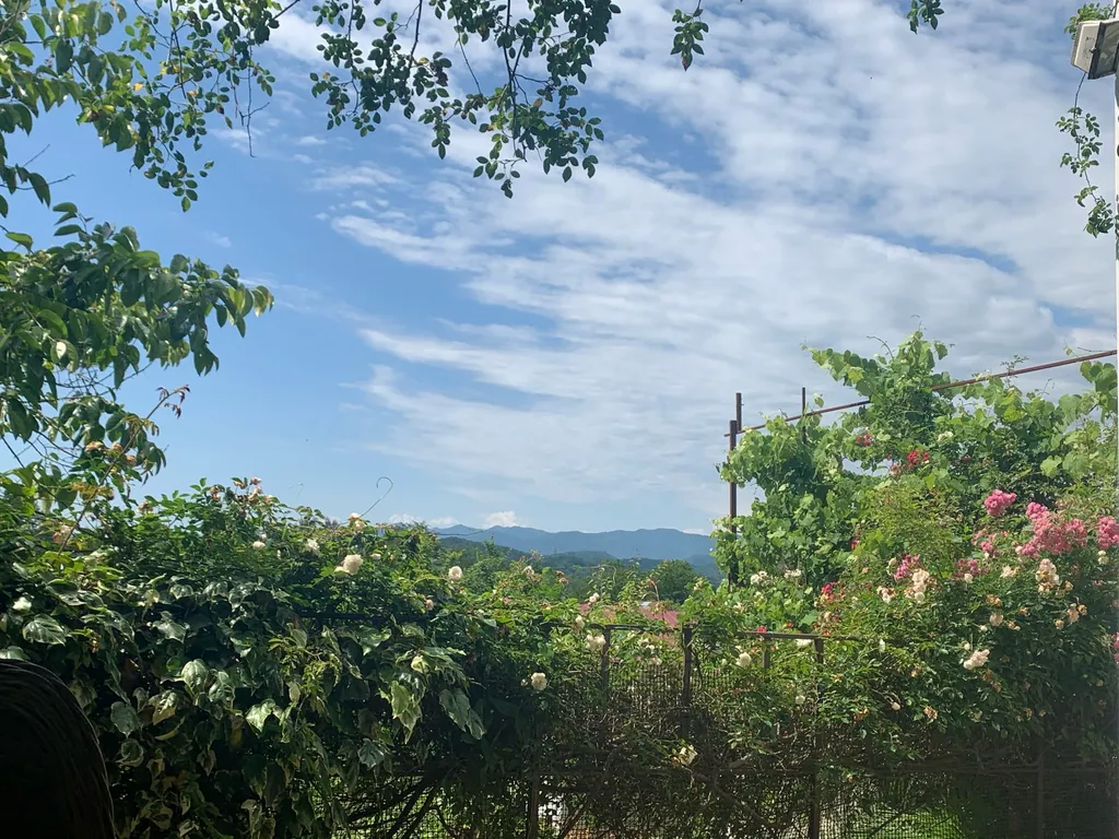 Коттедж Коттедж Голицино — Сочи