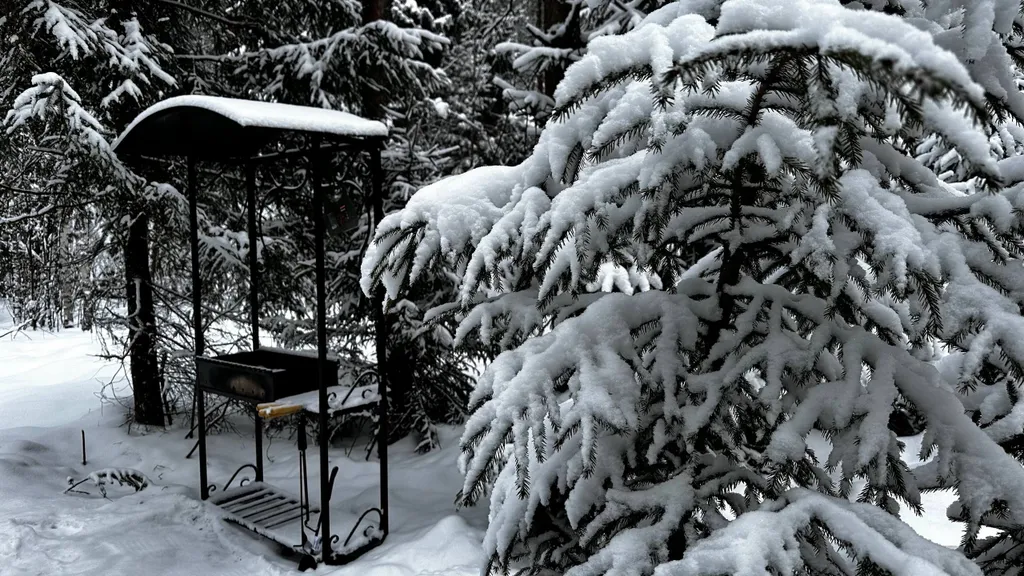 Дом с баней и банным чаном