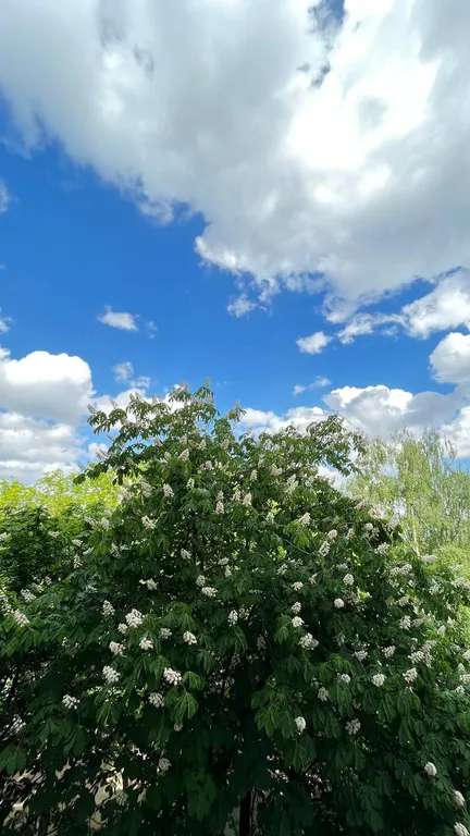 Уют и комфорт у метро Пушкинская 3 мин