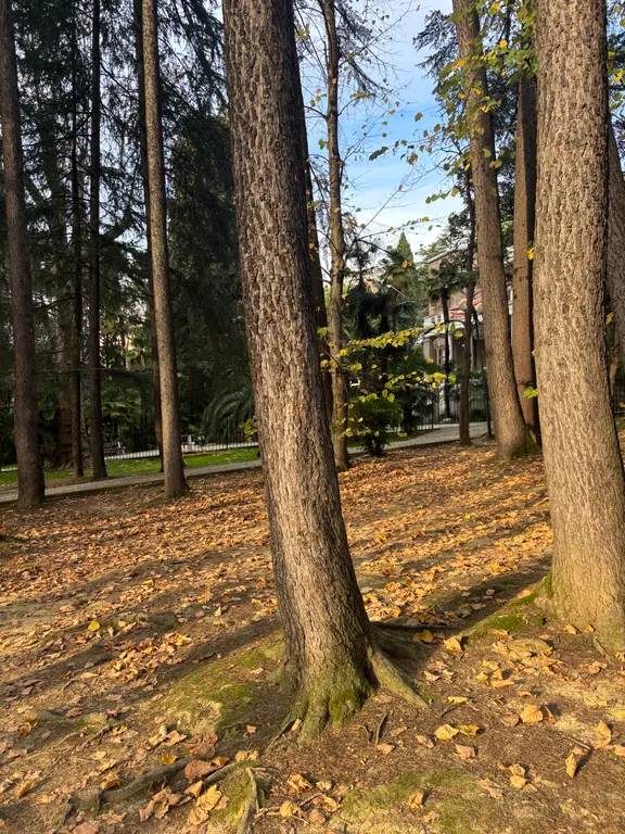 Квартира Квартира Апартамент с видом на море в центре города — Сочи