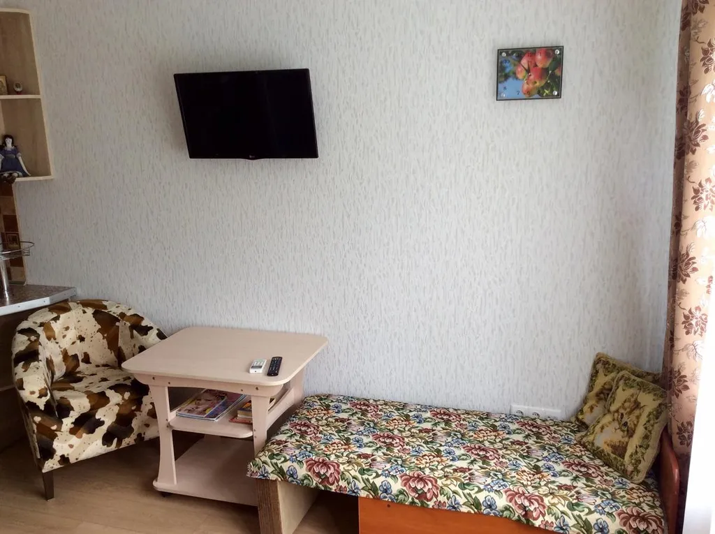 Апартамент с красивым видом