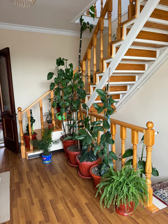 Гостевой частный дом в 50 метрах от моря…