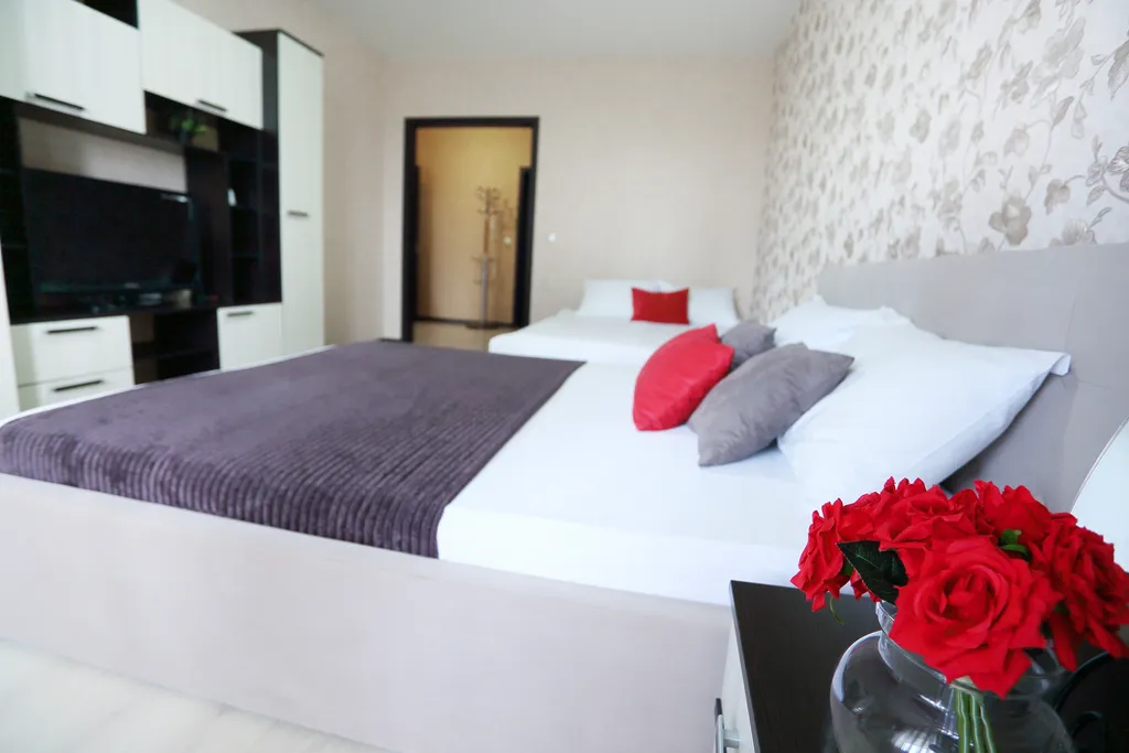 Большая квартира у спорткомплекса гран-при и мед. центра Олимп — аренда посуточно в Воронеж