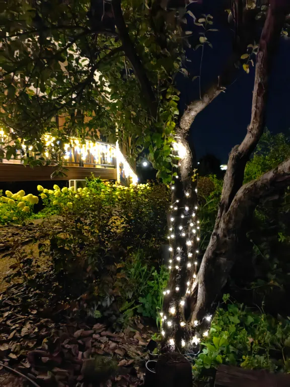 Дом с видом на восход для творческих людей