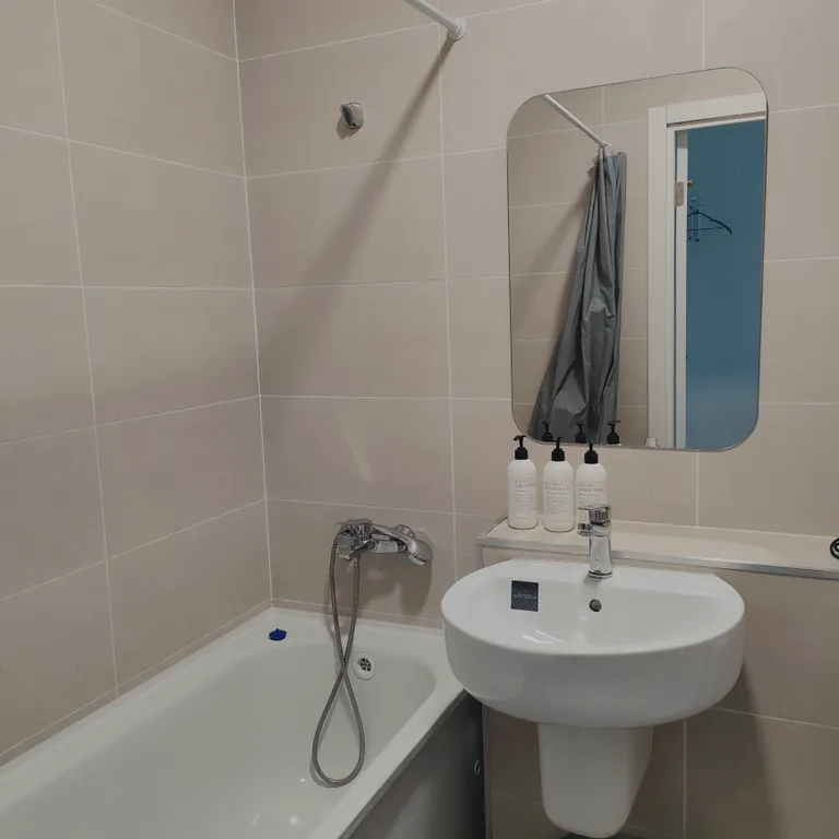 Квартира 1-комнатная Квартира — Мисайлово