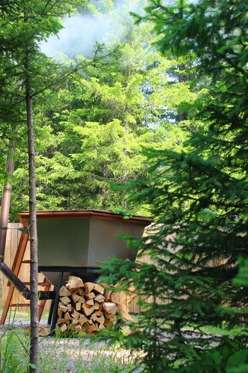 Уютный домик с видом на лес с баней и купелью