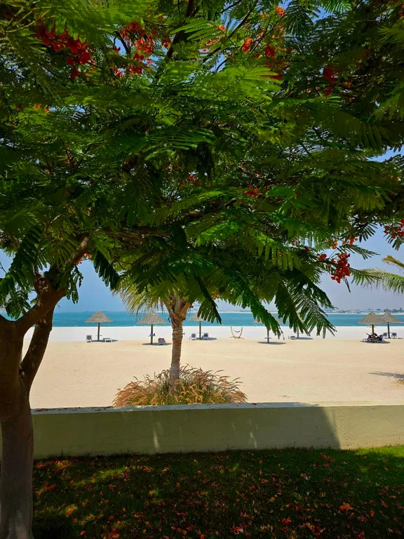 Студия с частным пляжем и видом на море на острове Марджан