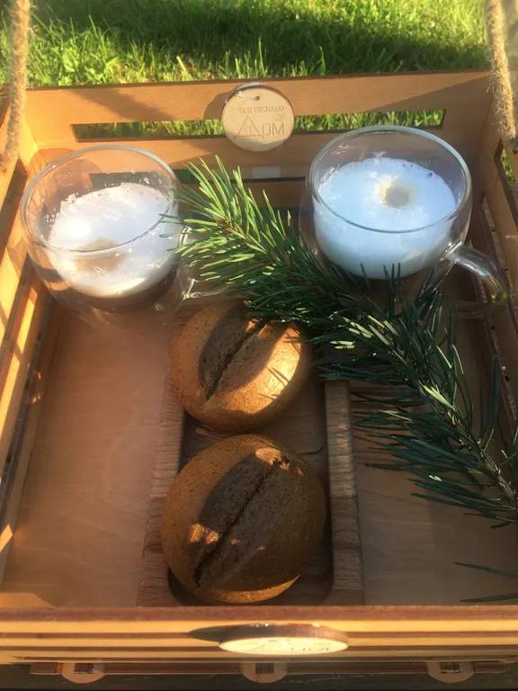 Дом под соснами