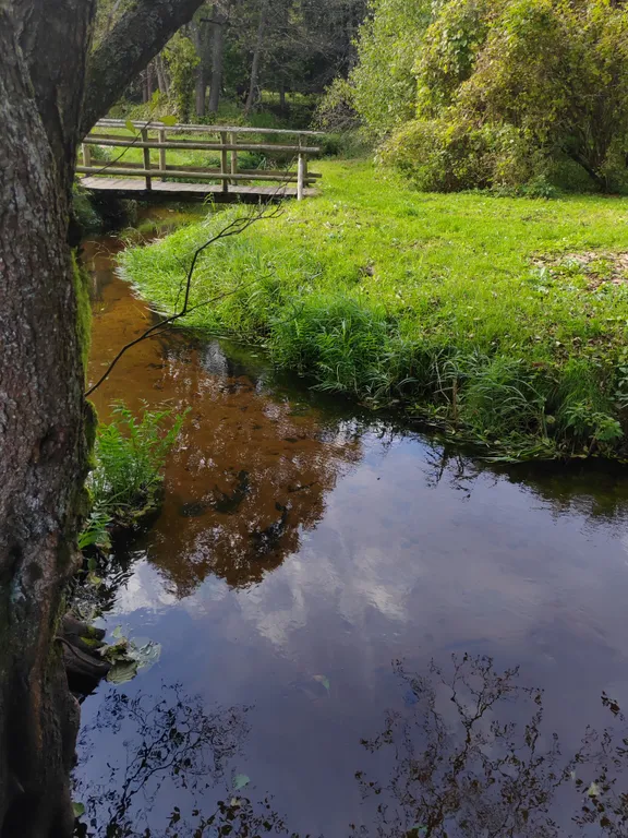 Домик у речки - мечта интроверта