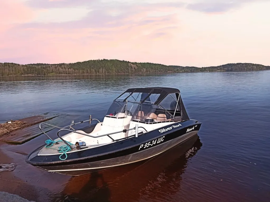 Дом на берегу Ладоги Palkoniemi