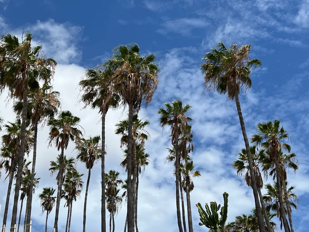 PaulMarie Duplex Ocean View