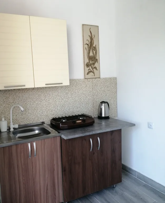 Комната на 2-3 человека с удобствами и кухней