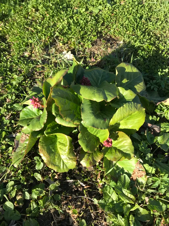 Уютный коттедж среди пушкинских мест