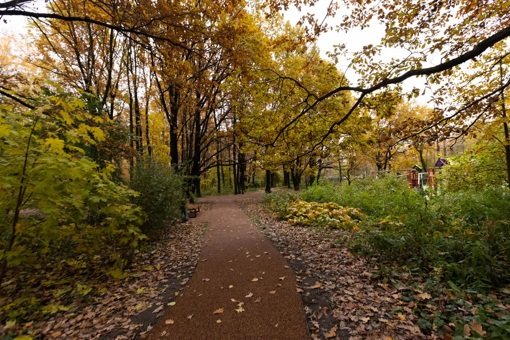 Новая дизайнерская студия