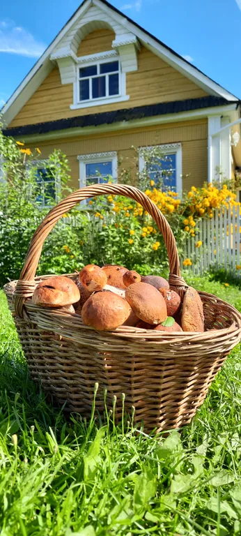 3-комнатный Дом