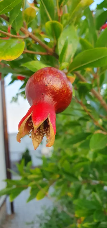 Коттедж Адмиральский домик на море — Солнечная Долина