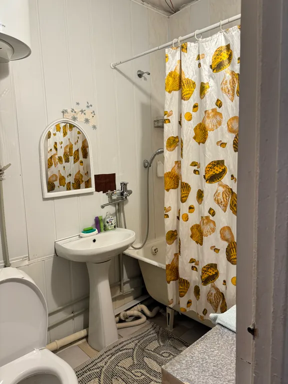 Просторная квартира в центре