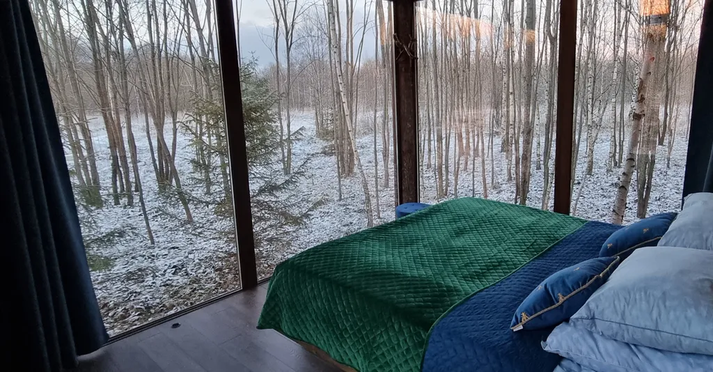 Стеклянный дом в лесу