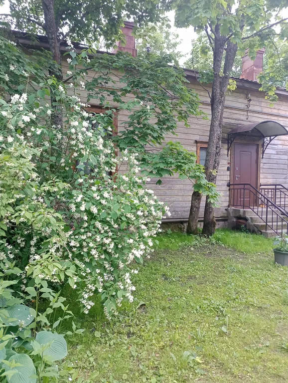 Сердце города 1882 года постройки в историческом центре