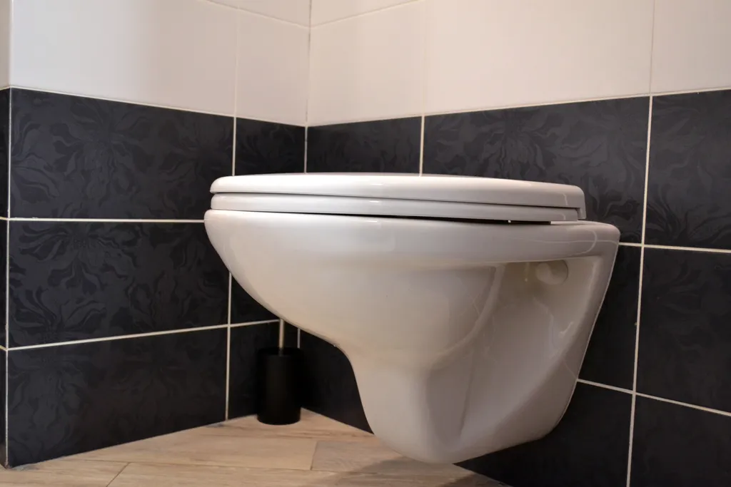 Сафари— дикий уют в сердце города