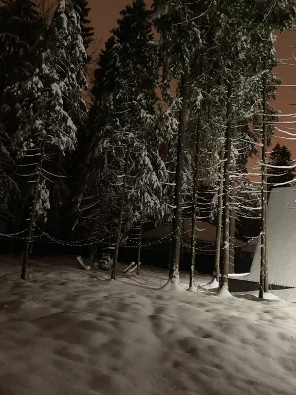 Уютный домик с банным чаном и панорамным видом на лес