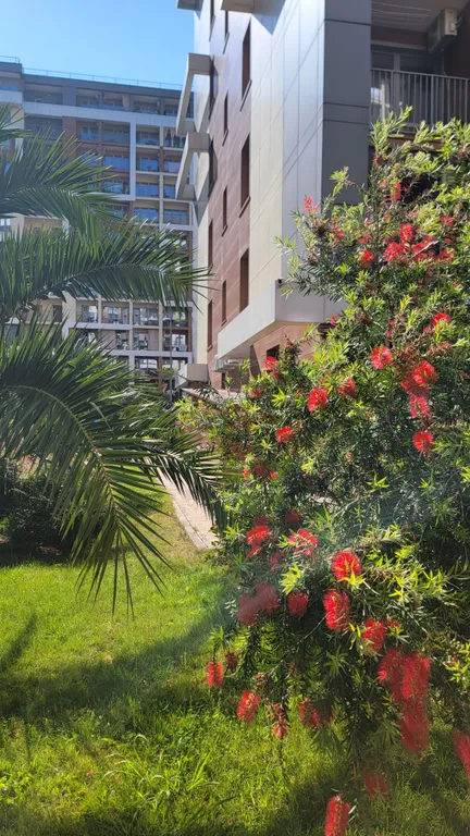 Стильные апартаменты с видом на море и горы