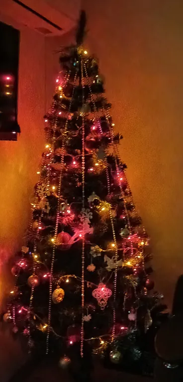 Двухкомнатные апартаменты на берегу моря