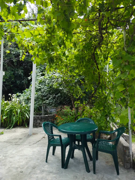 Квартира Комната — Гагра